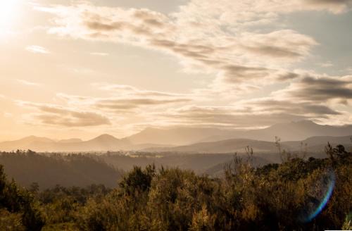 Knysna Casa | Forest Harmony