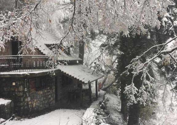 Amfikleia-Elateia Apartamento | Forest House