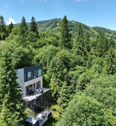 Slavske Chalet De Esquí | Forest Hub