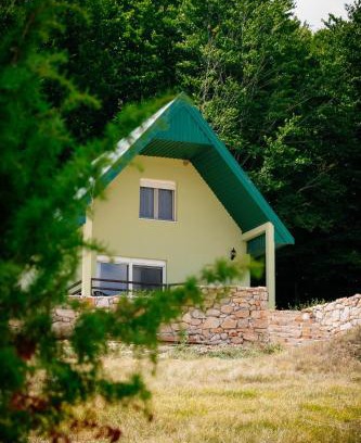 Donja Brezna Casa | Forest Panorama Cabin Brezna