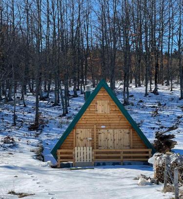 Pluzine Chalet De Esquí | Forest rest