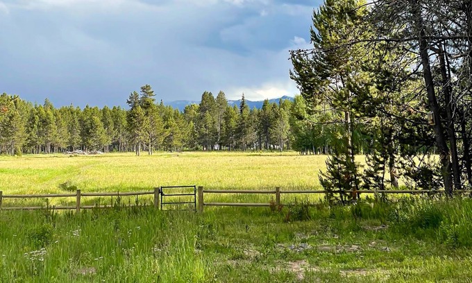 Fir Grove Estates Cabina | Forest retreat with meadow views, family warmth, starry nights and a hot tub