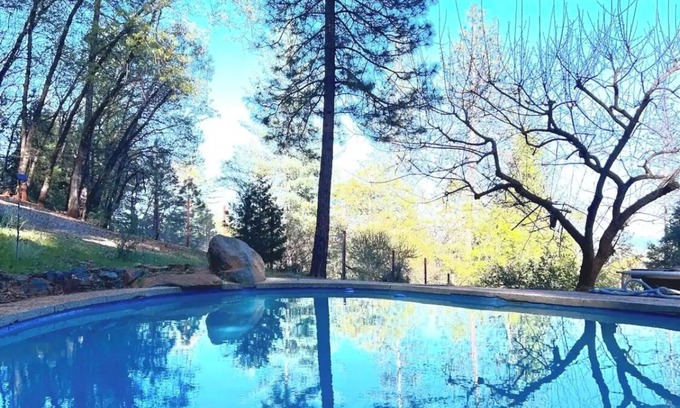 Cedar Ridge Apartamento | Forest Studio with Pool & Mountain View’s