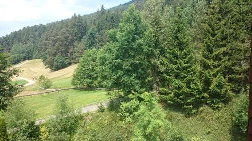 Tonbach Apartamento | Forest View