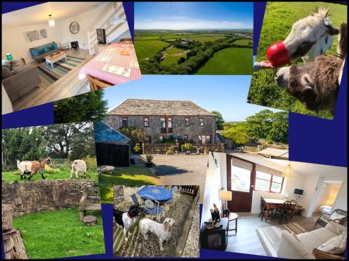 Hartland Casa | Fosfelle Cottages
