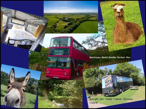 Hartland Otro | Fosfelle Glamping
