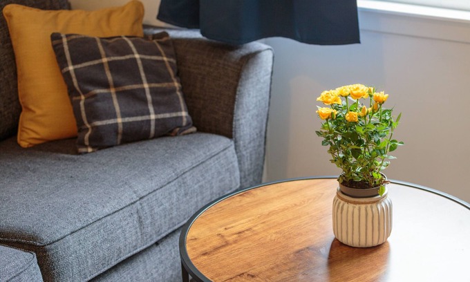 Dalry Apartamento | Fountain Park Apartment 1bed