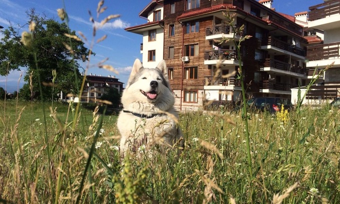 Shiligarnika Apartamento | Four Leaf Clover Apartments to Rent