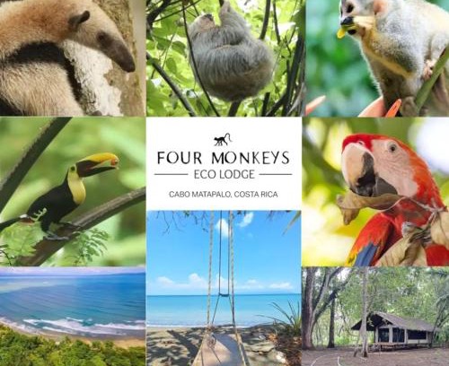Puerto Jiménez Cabina | Four Monkeys Eco Lodge - Jungle & Beach