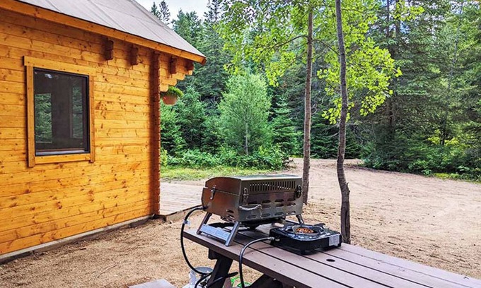 Hastings Highlands Cabina | Fox Den #3