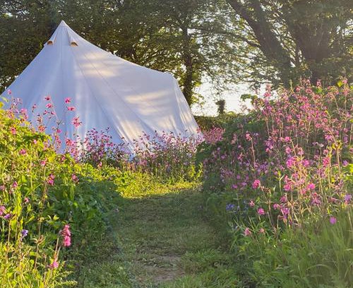 Marazion Otro | Foxglove Field Glamping