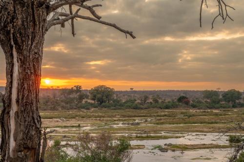 Marloth Park Cabina | Foxy Crocodile Bush Lodge & Kruger Safari's - No Loadshedding