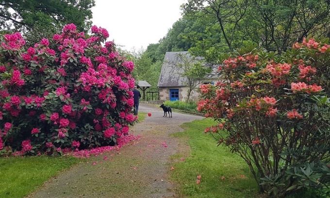 Villedieu-les-Poeles-Rouffigny Casa | LE MOULIN D'AIROU