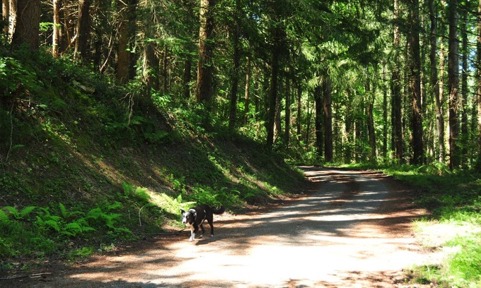Montels Otro | French Pyrenees 4bed 2 family home, national park.