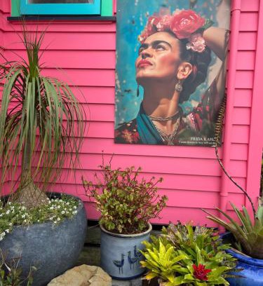 Raglan Casa | Fridas Accommodation