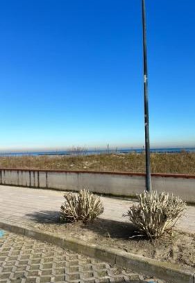 Porto Garibaldi Apartamento | Frontemare