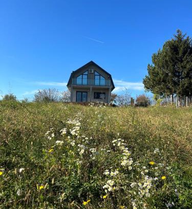 Irig Villa | Fruska Gora Villa Medici