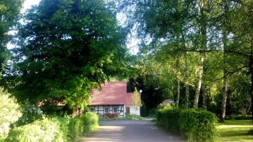 Erkerode Apartamento | Fuchsrevier Fox District Apartment