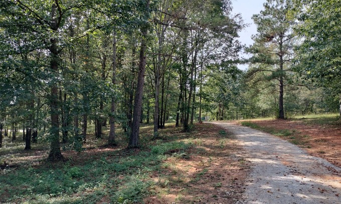 Ashland Alquiler De RV | Full Hookup RV site-Pet Friendly! Big Foot Trail at Hairy Hiker Woods