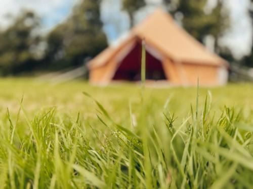 Carlyon Otro | Fully Furnished Bell Tent 1