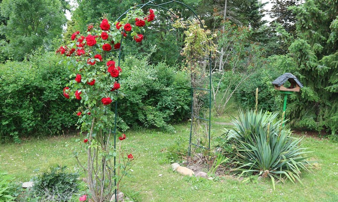 Forst Casa | Gästehaus Am Alten Birnbaum - Gästehaus Zum Alten Birnbaum