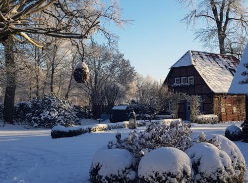 Borchel Chalet De Esquí | Gästehaus am Kattensteert