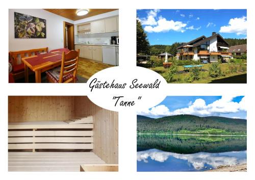 Blasiwald Apartamento | Gästehaus Seewald- Ferienwohnung 3 "Tanne", Schluchsee, Blasiwald
