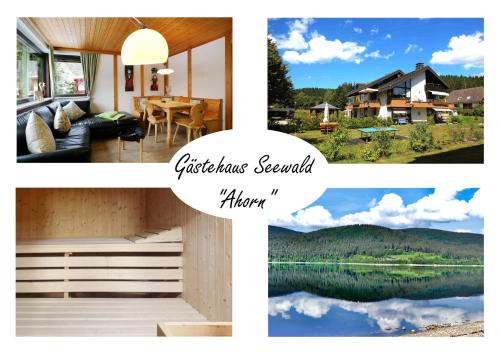 Blasiwald Apartamento | Gästehaus Seewald- Ferienwohnung 1 "Ahorn", Schluchsee, Blasiwald