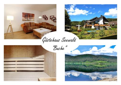Blasiwald Apartamento | Gästehaus Seewald- Ferienwohnung 5 "Buche", Schluchsee, Blasiwald