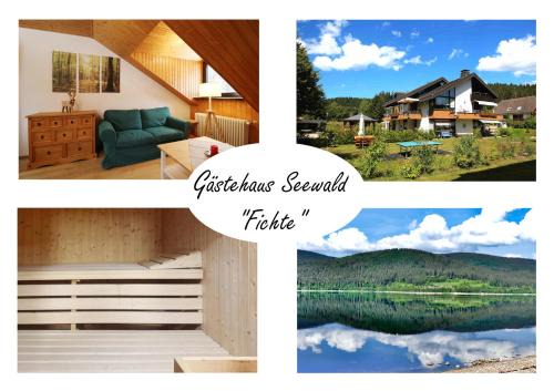 Blasiwald Apartamento | Gästehaus Seewald- Ferienwohnung 6 "Fichte", Schluchsee, Blasiwald