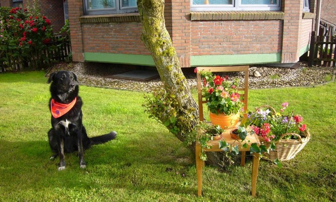Neuharlingersiel Apartamento | Gästehaus up Eck