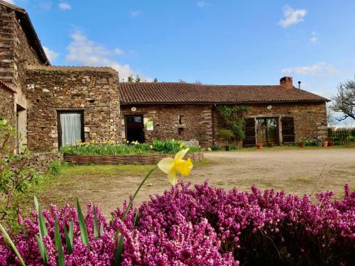 La Tardiere Casa | Gîte écoresponsable avec 4 chambres, terrasse et activités, proche LPO, chauffage au sol - FR-1-426-486