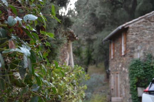 Collobrieres Casa | Gîte Almanda - Calme & Nature - Mas Lou Castanea