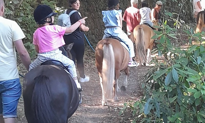 Colognac Otro | Gîte at the equestrian farm Les poneys du val d'emeraude