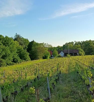 Saint-Aignan Casa | Gîte au coeur d'un vignoble