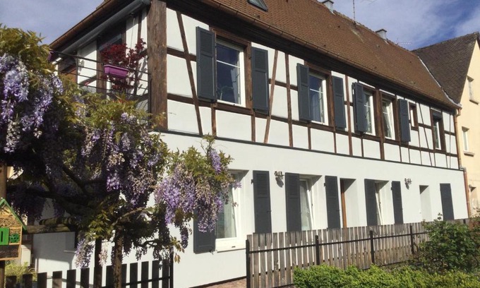 Ingersheim Apartamento | Gîte côté jardin