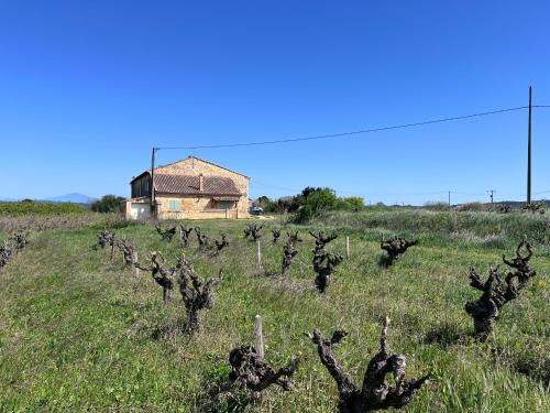 Pont-Saint-Esprit Casa | Gîte d'ysée au milieu des vignes