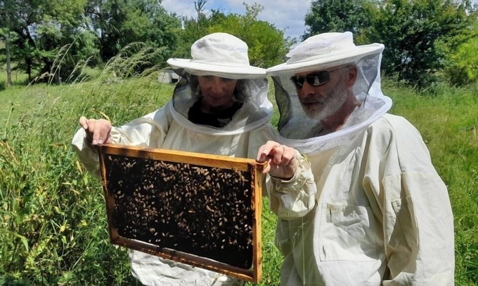 Lesparre-Medoc Casa | Gîte de Ferme Vigneronne Avec Ateliers Découvertes Apiculture