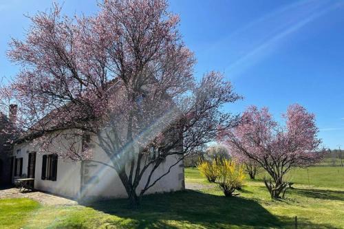 Diancey Casa | Gîte de la Fontaine salée