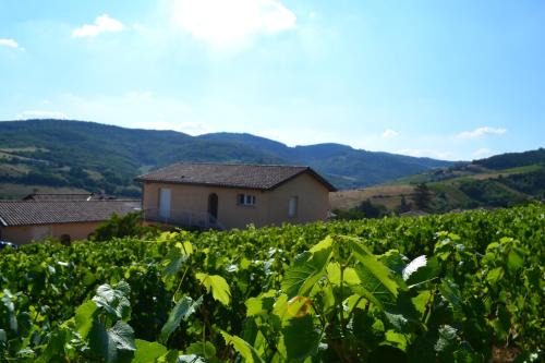 Jullie Casa | Gîte du Domaine de la Milleranche