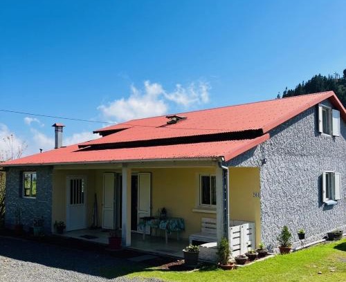 La Plaine des Cafres Casa | Gîte Hydrangea 974