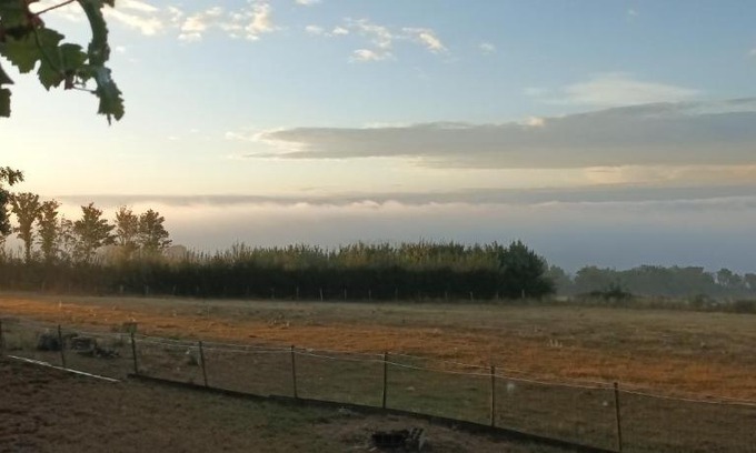 Perreuse Otro | Gîte l ambre du fort bois