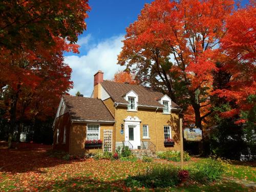 Mauricie Cama Y Desayuno | Gîte La Belle Aventure B&B