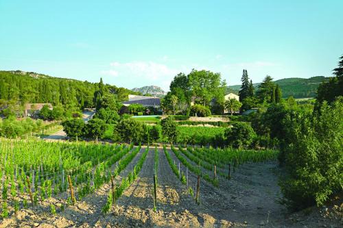 Villeseque-des-Corbieres Casa | Gîte La Maison des Vendangeurs