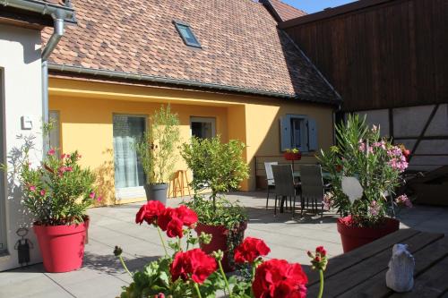 Saint-Hippolyte Apartamento | Gîte Le Cep d'Or Alsace