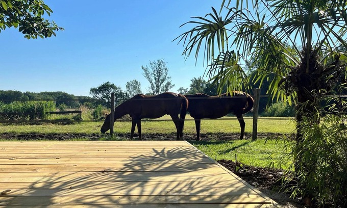 Villemur-sur-Tarn Casa | Gîte les Millères - Maison de Campagne Avec Animaux et pré Pour Chevaux