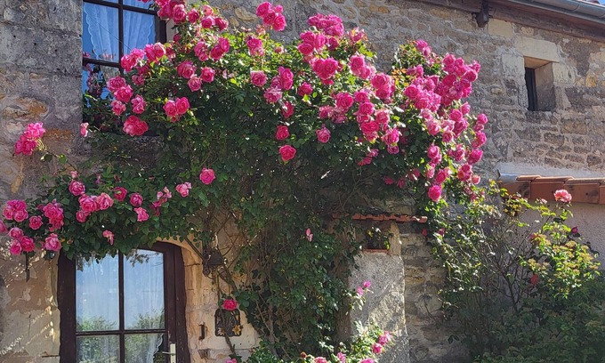 Doue-en-Anjou Casa | Gîte les Roses sleeps 2/4