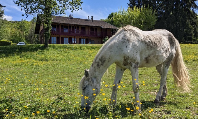 Neuvecelle Casa | Gîte Les Vernes (11-13 pers.)