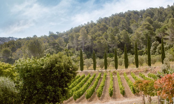 Villeseque-des-Corbieres Casa | Gîte Maison des Vendangeurs