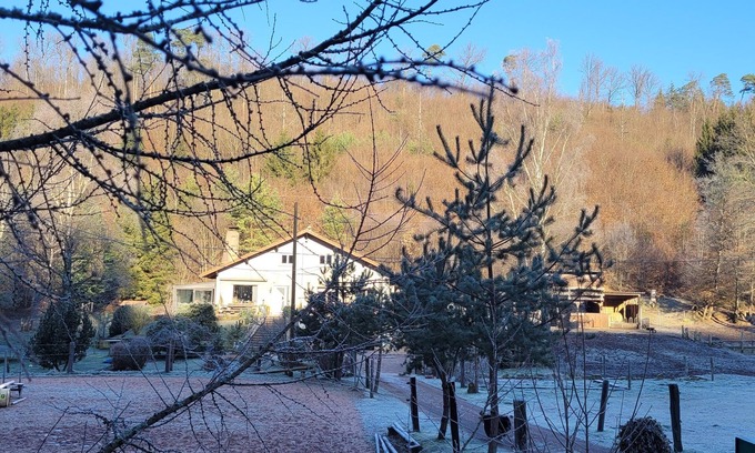 Soucht Otro | Gîte mon Chez moi Avec Ânes et Chevaux Pour Randonner en Forêt